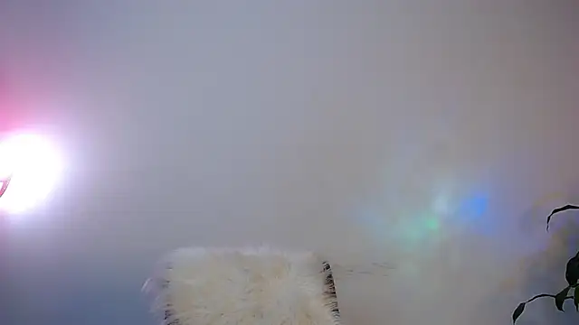Camila_Torresss 现场聊天室