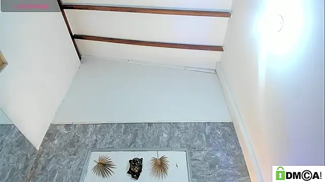 Živá chatovací místnost SophieSweet88