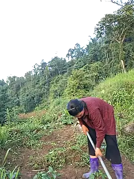 diamond-- লাইভ চ্যাট রুম