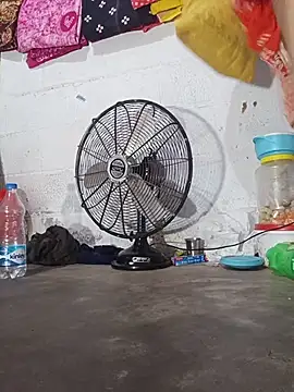 reya743 Ruang Obrolan Langsung