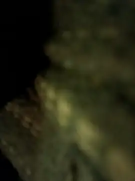 Rs_sonam Cameră chat live
