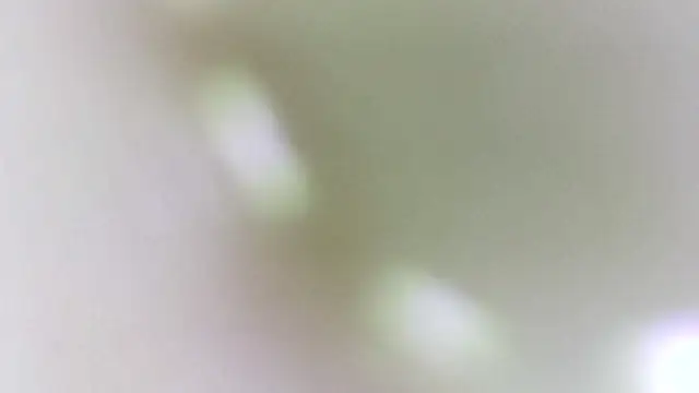 Živá chatovací místnost shannon_kinne_