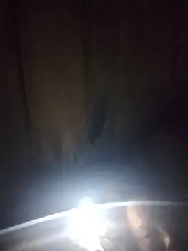 sumaybae чат на живо