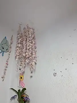 Živá chatovací místnost Kuutar