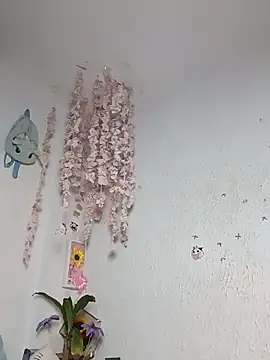 Chat ao vivo de Kuutar