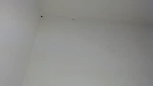 drako_monster чат на живо