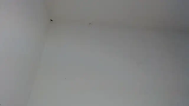 Živá chatovací místnost drako_monster