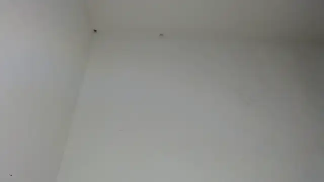 חדר צ'אט בשידור חי של drako_monster