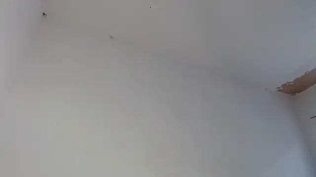drako_monster Cameră chat live