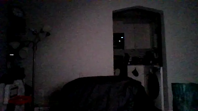BedazedFirefly 실시간 채팅방