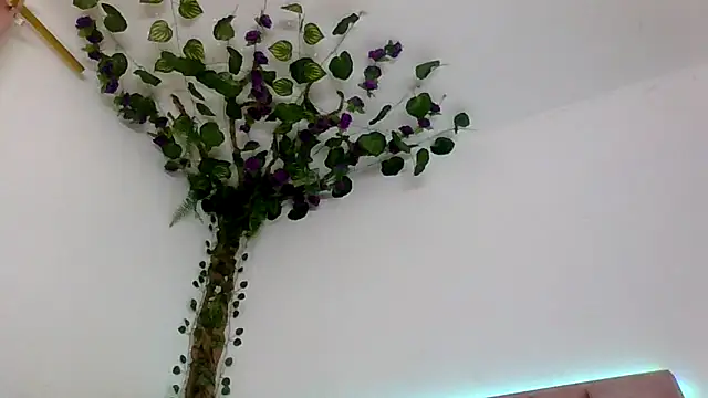 abby_moss_2 Cameră chat live