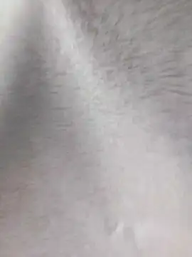 Lolan-00 Cameră chat live