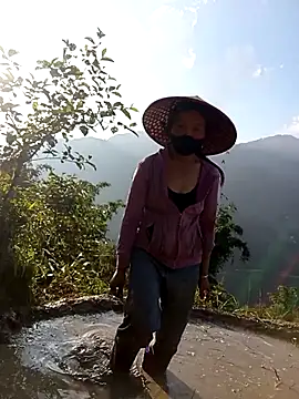 Chat ao vivo de siusiu-00