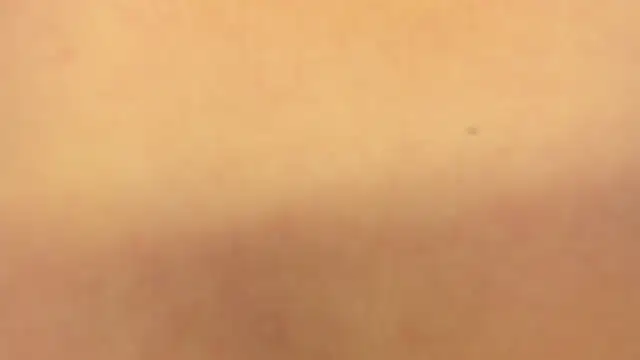Živá chatovací místnost roxane-