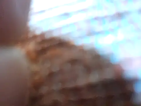 Živá chatovací místnost JennyInVegas