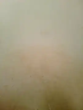 sl_kella2003 Live Chatraum
