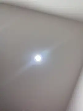 violeta365 Cameră chat live