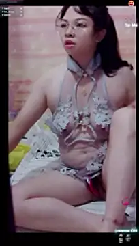 Chat ao vivo de cutepets1