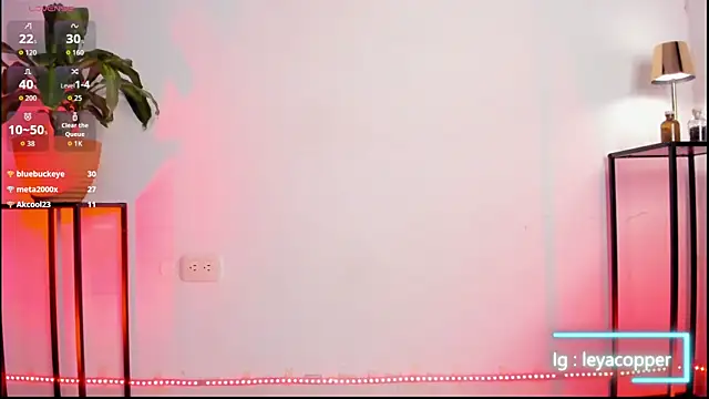Sala de chat en directo de Leyacopper_