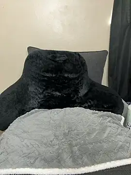 CreamedKitten Live Chatraum