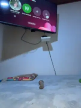 חדר צ'אט בשידור חי של Im_Saraaaa