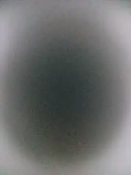 Lana-murr Live Chatraum