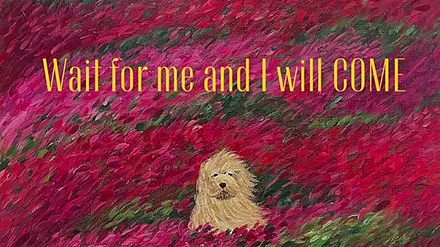 غرفة دردشة girl_u_never_met المباشرة