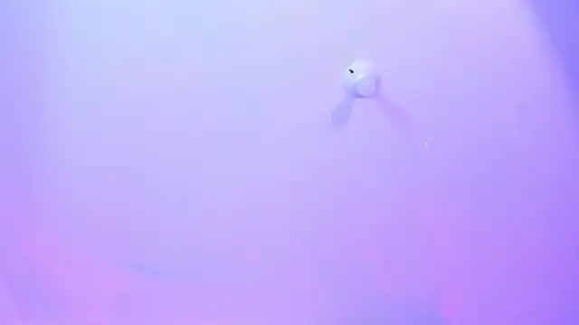 Valk_submissive 실시간 채팅방