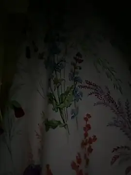 daaqnn Cameră chat live