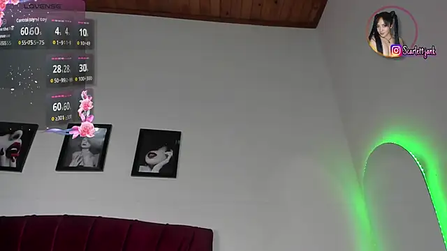 Chat ao vivo de Scarlett_Jank