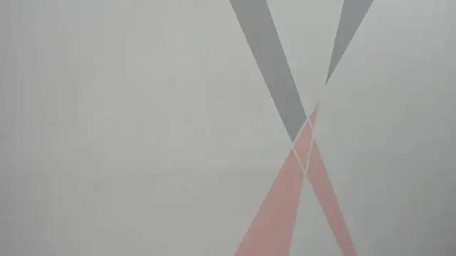 ZarinaWynne 실시간 채팅방