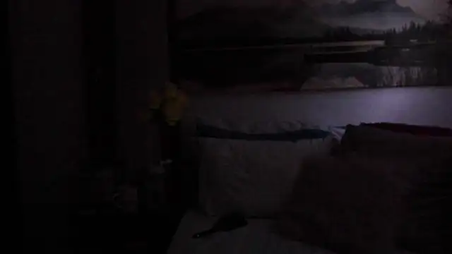 Aurora_Real Live Chatraum