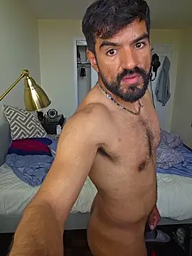 Show sexual ao vivo de piggylatino