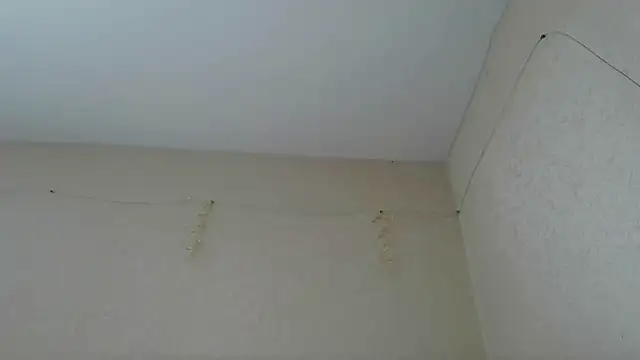 AzumiWenius чат на живо