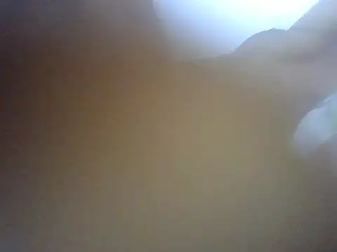 Lovemist's Live Chat Room