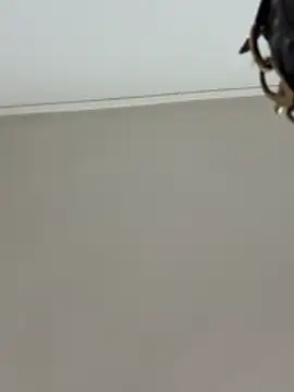 Chat ao vivo de CrazyJessika