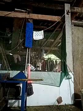 nangmo Adlı Modelin Canlı Sohbet Odası