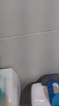 Oscarinylupis2328 Live Chatraum
