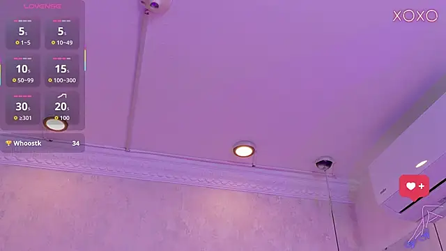 MoliBunny লাইভ চ্যাট রুম