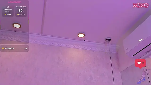 MoliBunny Live Chatraum