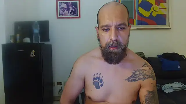 Show de webcam de AMIRDIB2025