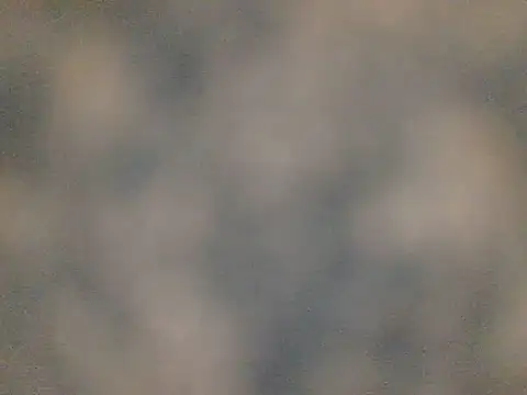 Sala de chat ao vivo de Petebulimia