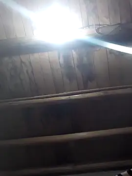 Živá chatovací místnost Estefanny_Lolyy