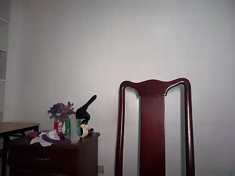 Chat ao vivo de Tina_Slick