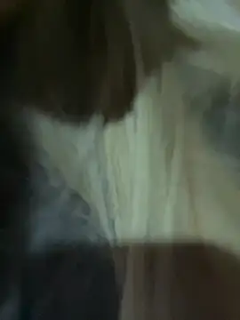 Sala de chat en directo de Lareini1415