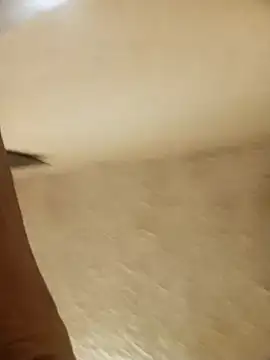 Sala de chat ao vivo de Calypso-Loove