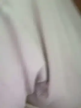 cmvoo Cameră chat live