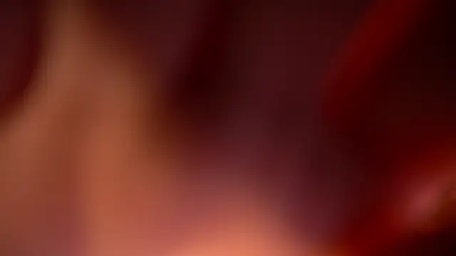 MollyyMayy Live Chatraum