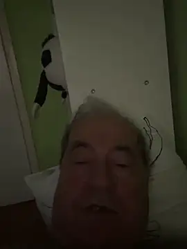 Show webcam de csikar
