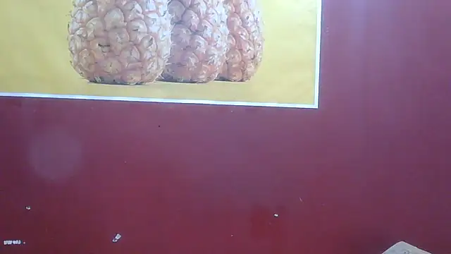Chat ao vivo de perfect-couple25